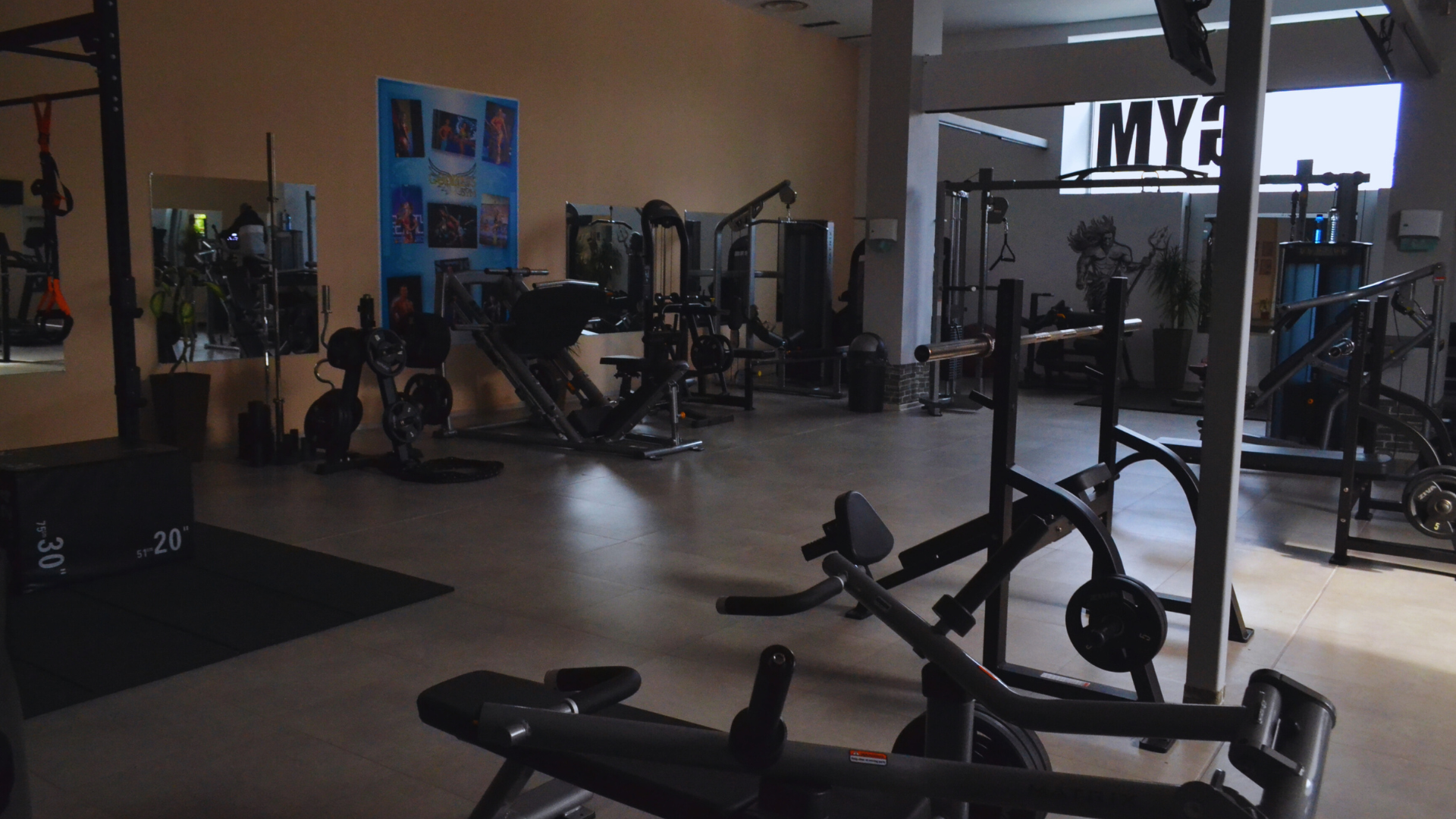 Goddess Gym