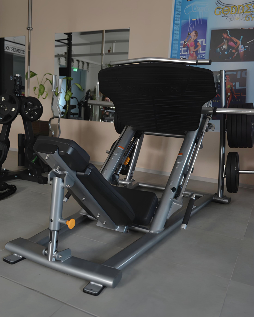 Leg Press